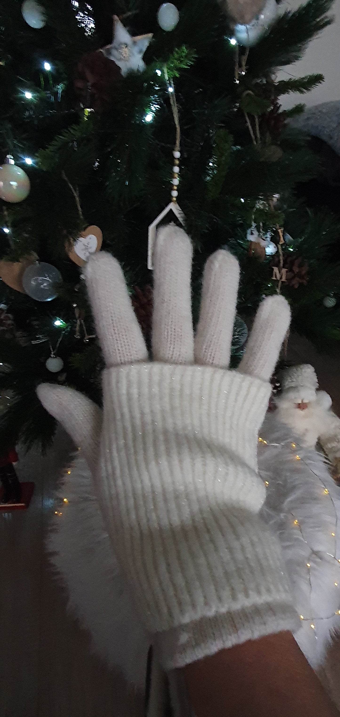 Ensemble gants et mitaines